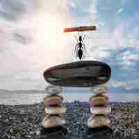 seo免‌费﻿优‍化​工﻿具﻿